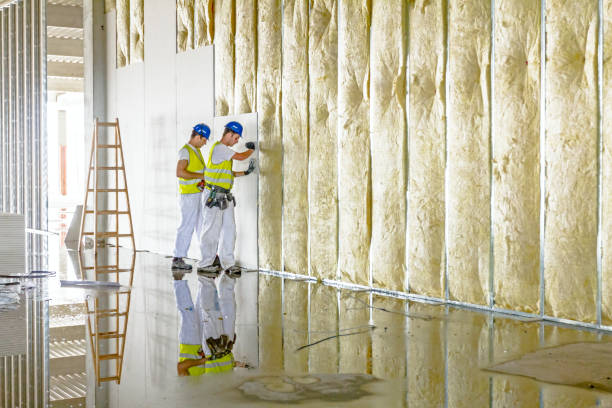 Best Insulation Repair Services  in Tunkhannock, PA